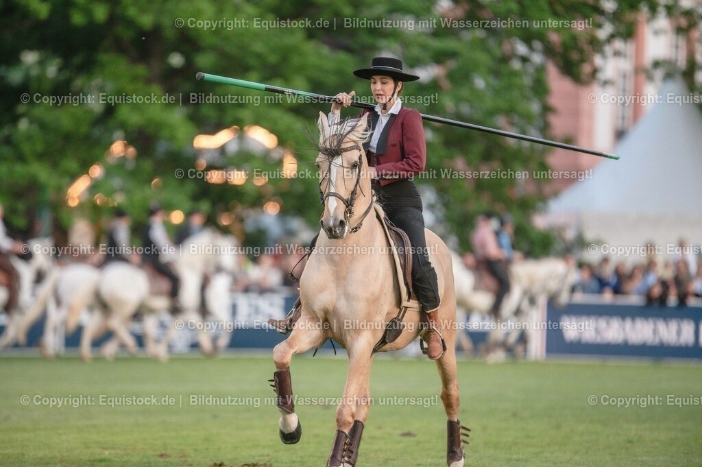 20230526_Pferdenacht_0752 | equistock