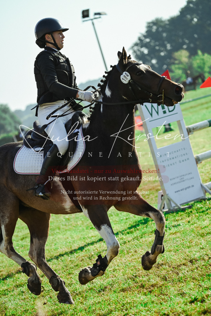 DSC_4490 | Pferde- und Turnierfotografie in Westsachsen. Pferdeportraits, Auftragszeichnungen und intuitive Kunst.