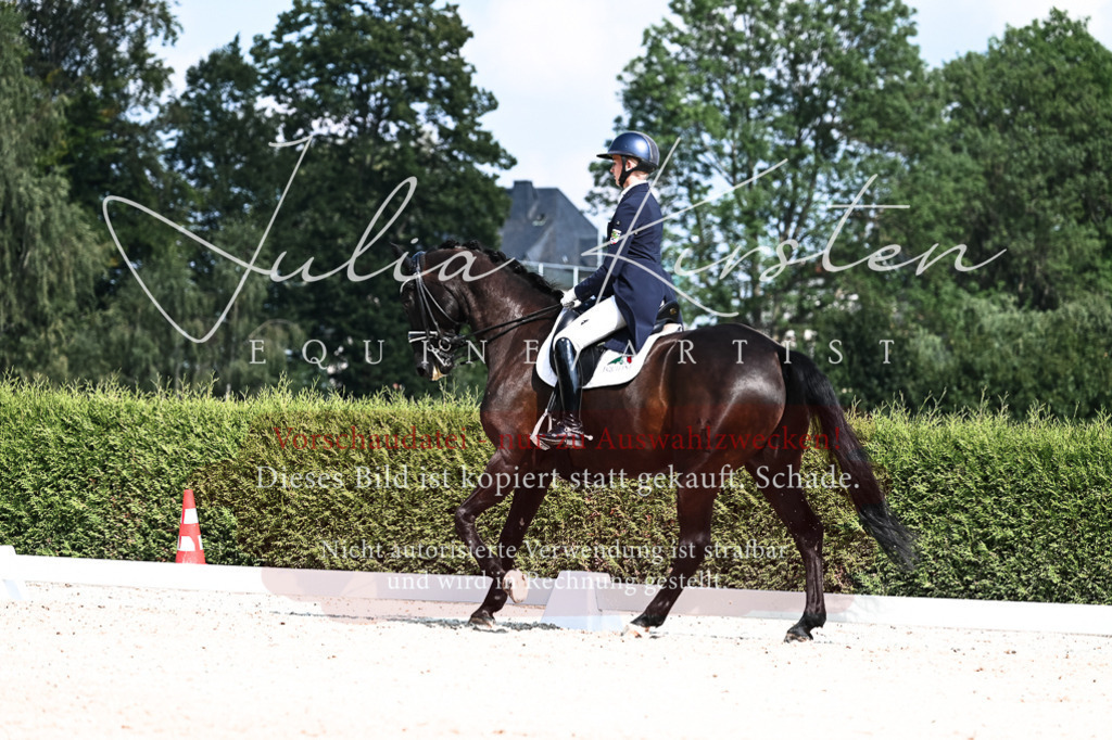 DSC_3159 | Pferde- und Turnierfotografie in Westsachsen. Pferdeportraits, Auftragszeichnungen und intuitive Kunst.