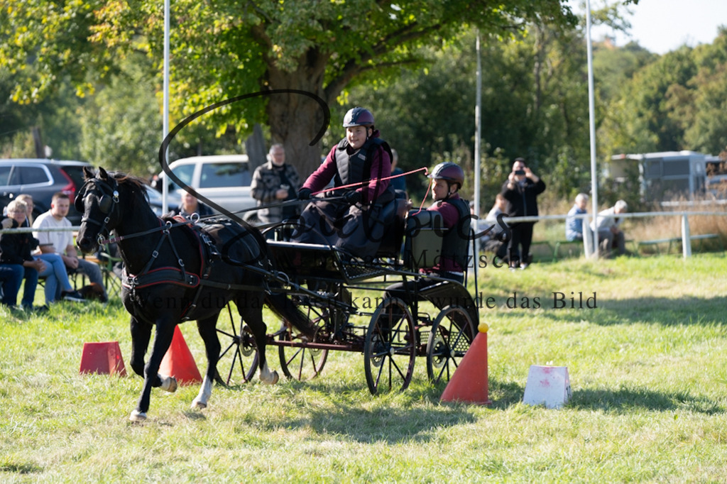 A7V04340 | Pferdefotograf