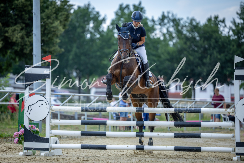 20260704-_3LI1404 | Tierfotografie Pferde, Hunde, Katzen, Haustiere.
Turnierfotografie Reitturniere, Reiten, Springreiten, Dressur in Hanau, dem Main-Kinzig-Kreis und dem Rhein-Main- Gebiet um Frankfurt