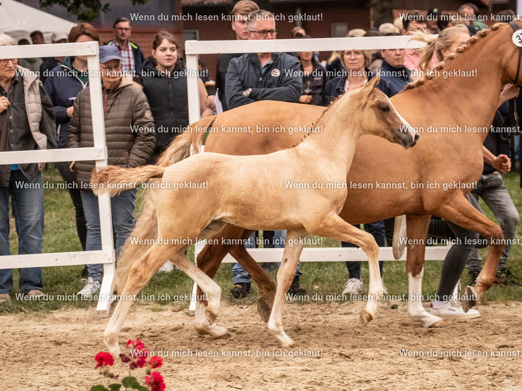 A10I2805 15.56.13 | photographylinaismer - Realisiert mit Pictrs.com