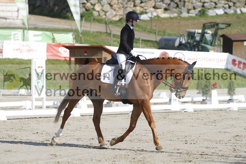 _MG_9079 | equestrian-live-com