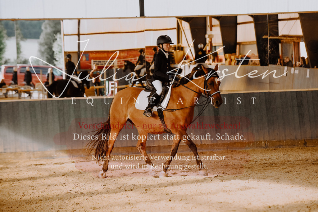 DSC_7558 | Pferde- und Turnierfotografie in Westsachsen. Pferdeportraits, Auftragszeichnungen und intuitive Kunst.