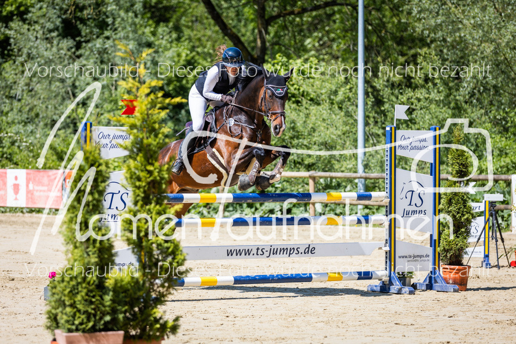 Donop24-L-Spr-006 | MomenTaufnahmen Pferdesportfotos