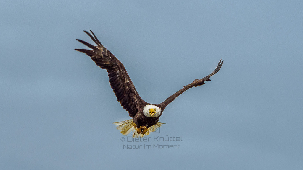 P1628566-LR | Natur im Moment - Realisiert mit Pictrs.com