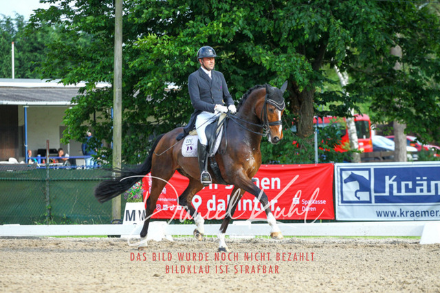 DKP41782 | Deine Turnierfotos vom Reitturnier online kaufen: Dressur, Springen & Siegerehrung. Professionelle Pferdefotografie aus dem Rheinland – als Download & Print.Alternative: Turnierfotograf für den Pferdesport: Finde deine Fotos von Dressur- und Springturnier