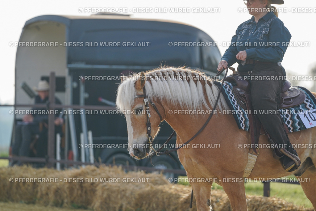 DSC00309 | Pferdegrafie