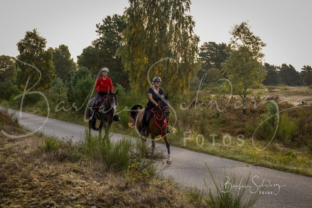 DdLH-TrotBy_2025-09-20_04 | Fotografie, Veranstaltungs-Fotografie, Pferde-Fotografie, Landschafts-Fotografie, Reise-Fotografie - Realisiert mit Pictrs.com