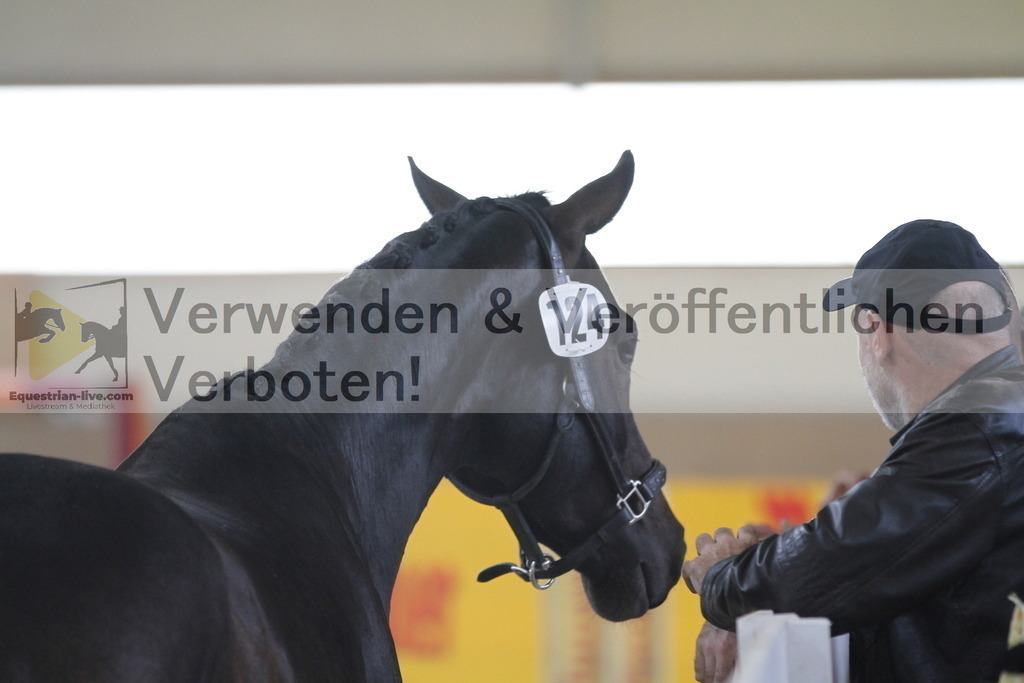 _MG_9714 | equestrian-live-com