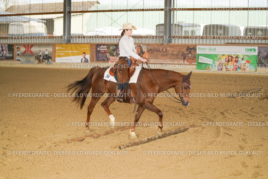 DSC01589 | Pferdegrafie