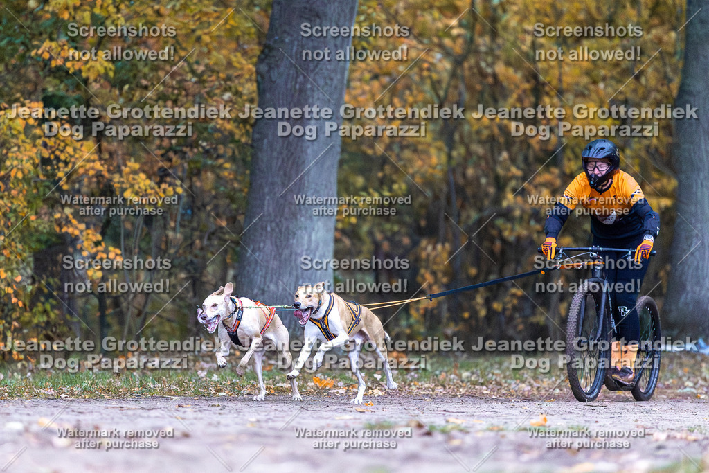 Dog Paparazzi - SD CaniX Championship 2025-7 | Dog Paparazzi Jeanette Grottendiek Fotografie & Videografie - Realisiert mit Pictrs.com