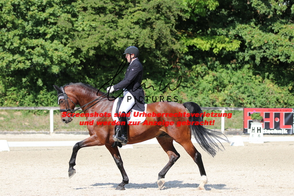 IMG_9384 | lmwpictures - Realisiert mit Pictrs.com