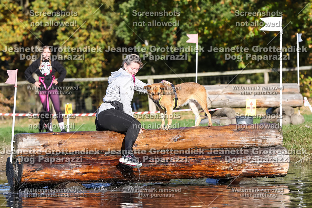 Dog Paparazzi - Strongdog 10-25-8746 | Dog Paparazzi Jeanette Grottendiek Fotografie & Videografie - Realisiert mit Pictrs.com