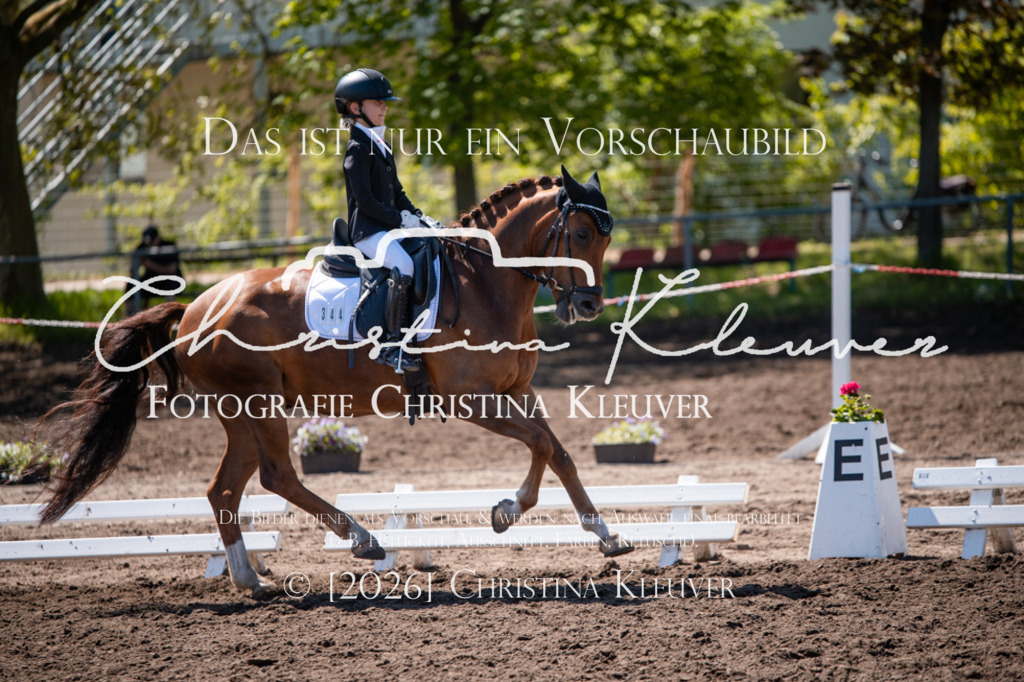 DSC_6030 | Christina-Kleuver