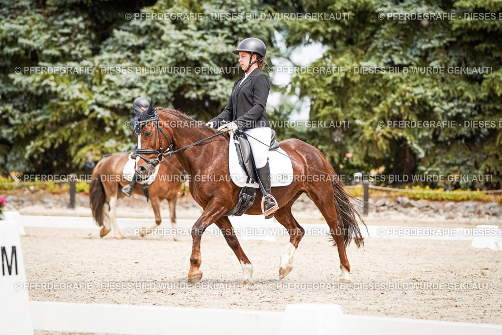 DSC04380 | Pferdegrafie