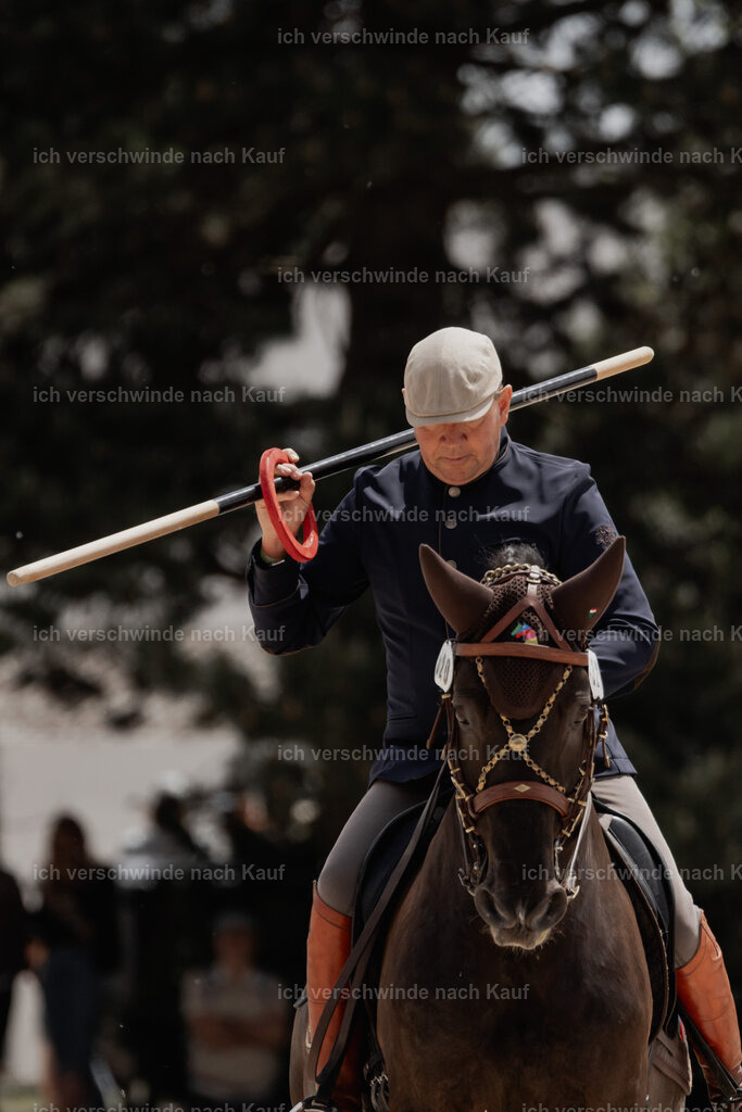 WE_ST_Stoib_320_PI2025_1109 | Pferd International München 2025