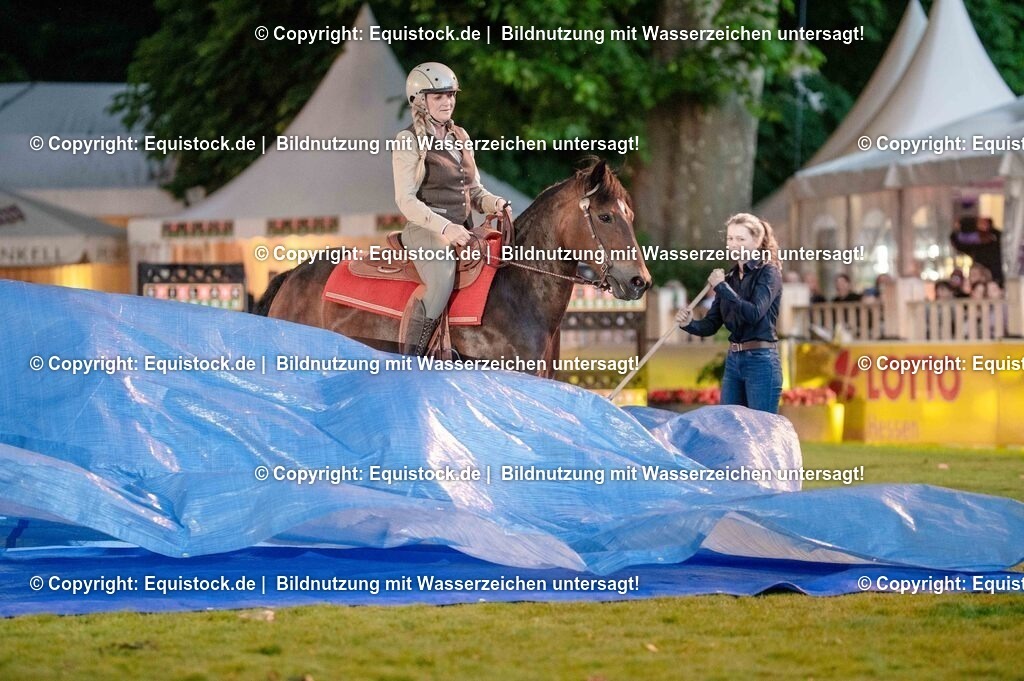 20250606_Lange-Pferdenacht_0988 | Foto: Thomas Hartig