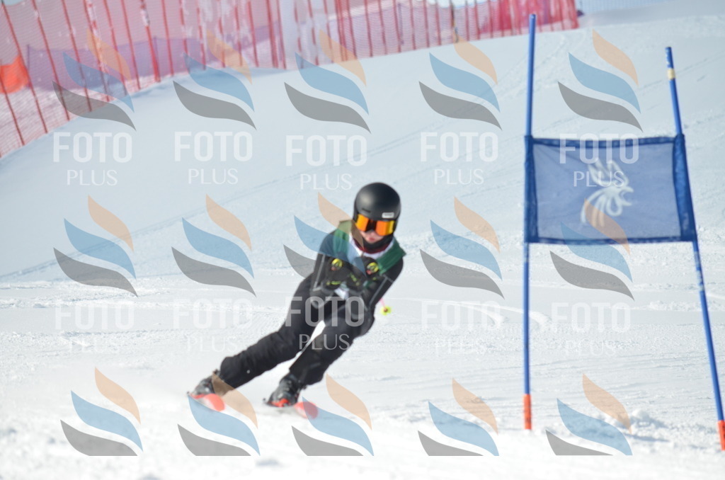 D8900 | holidayphoto