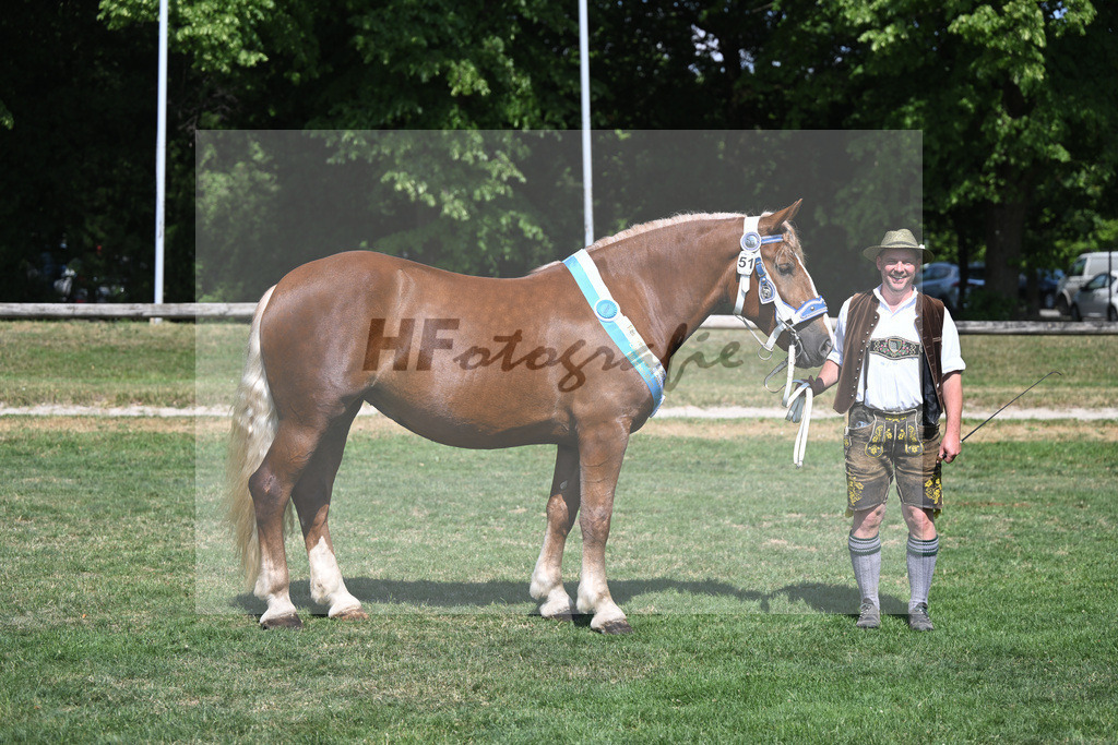 Kat-Nr. 51 Finesse G_Grandauer_20231329 | hf-fotografie - Realisiert mit Pictrs.com