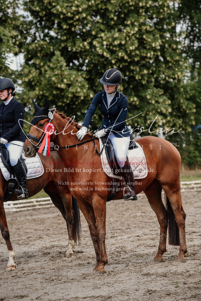 DSC_9360 | Pferde- und Turnierfotografie in Westsachsen. Pferdeportraits, Auftragszeichnungen und intuitive Kunst.