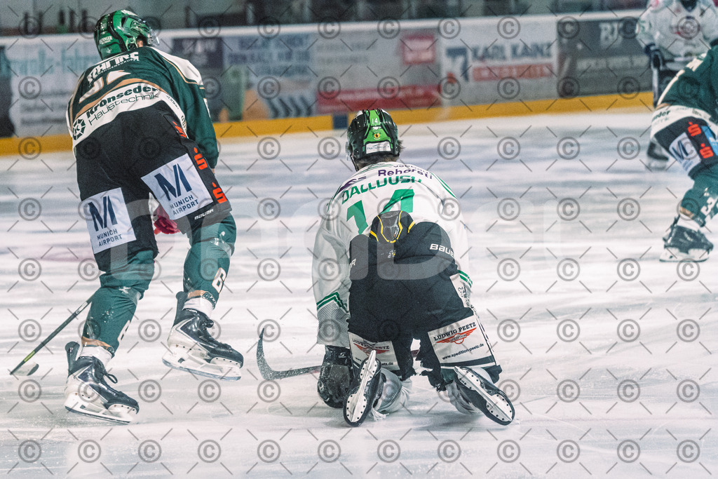 Erding_vs_Alligators_02_01_2026-52 | Höchstadt Alligators Fotogalerie: Eishockey-Action aus Franken. Professionelle Spielfotos, Portraits & Stadionbilder zum Download. Jetzt entdecken! - Realisiert mit Pictrs.com