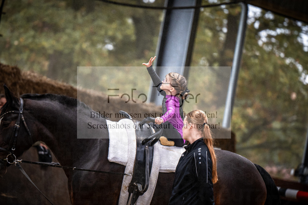 DOS_0207 | Entdecke hochwertige Reitturnierfotos von Foto Oger. Professionell, emotional und authentisch – jetzt Lieblingsmomente im Shop bestellen.Deutschlandweite Turnierfotografie. - Realisiert mit Pictrs.com