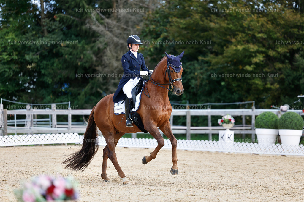 6-143-AMATUER-DRESSUR S_  -StoibPH-3439 | working equitationturnier fotograf videograf stoibphotography marixx film working equitation deutschland reitsport turnierfotografie eventfotografie equestrian events