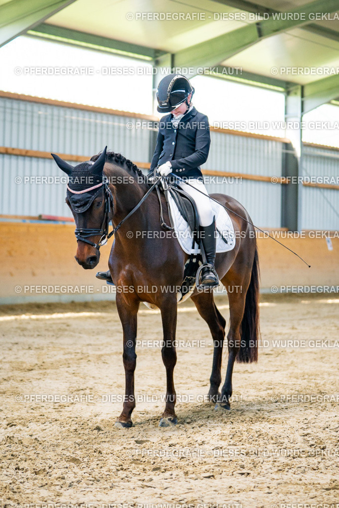 DSC06396 | Pferdegrafie