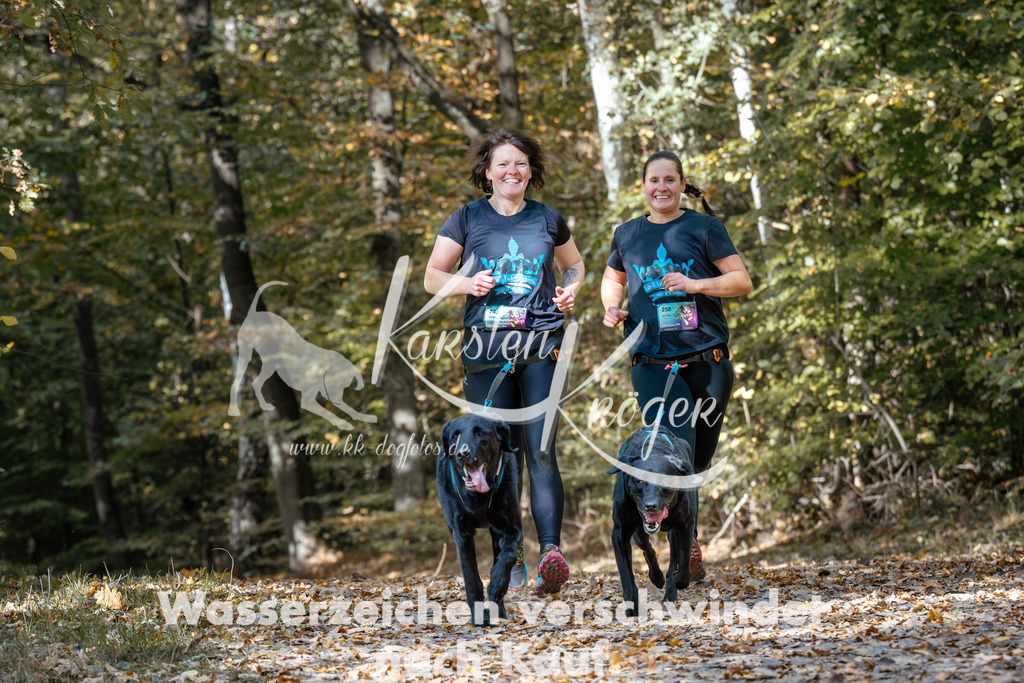 1251_ZZ96461 | kk-dogfotos