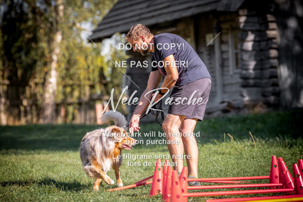 nelerasche_slaw24Sa_192 | nelerasche