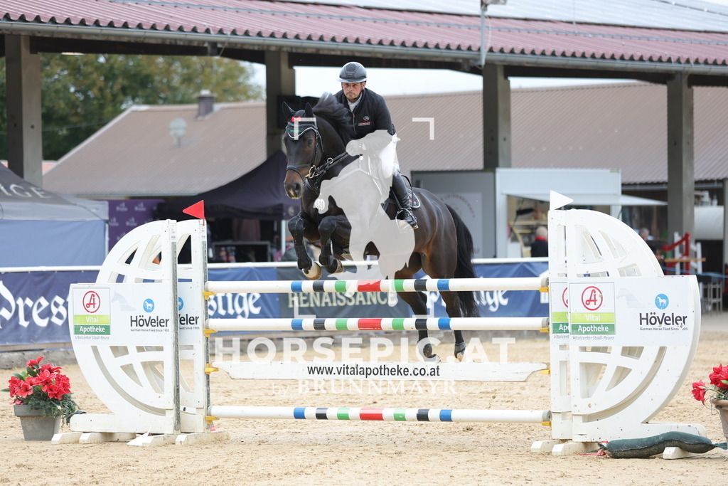 0P6A3564 | Willkommen bei Brunnmayr - Design & Fotografie – Ihrem Spezialisten für Reitturniere und Pferdeveranstaltungen in Oberösterreich, Salzburg und Bayern! Seit über 17 Jahren sind wir leidenschaftlich dabei.