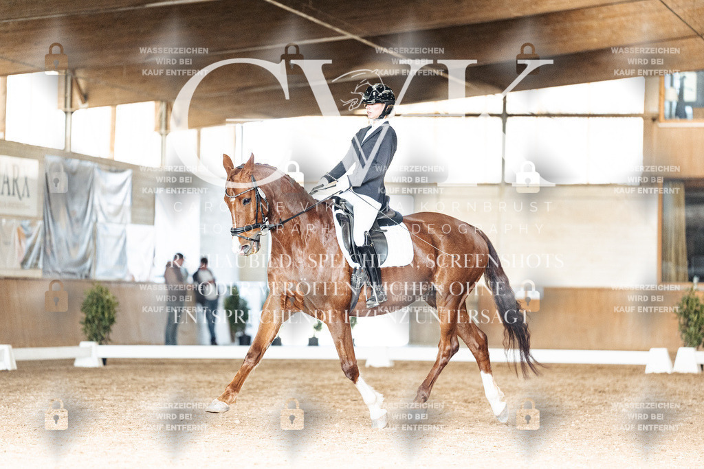 CK902410 | Turnierfotografie Pferdefotografie Trier Rheinland-Pfalz Pferdesport Reitsport Tierfotografie Sportfotografie Pferdevideo Pferdevideografie Equestrianvideography equestrianphotography  - Realisiert mit Pictrs.com