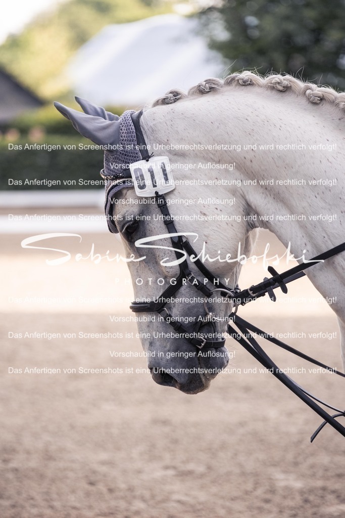 2025_05_31_DSCF2568 | People- und Tierfotografie, Imageaufnahmen, Veranstaltungsfotografie und Wandbilder aus der Natur ★ Made in Germany ✔️ Druck + Downloads ✔️ Naturfotografie in Top Qualität ★ schneller Versand, weltweite Lieferung! - Realisiert mit Pictrs.com