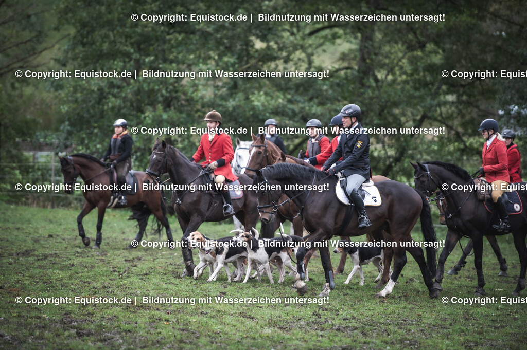 20241013_Jagd-Marbach_0156 | Foto: Thomas Hartig