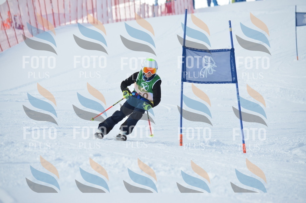 D8781 | holidayphoto