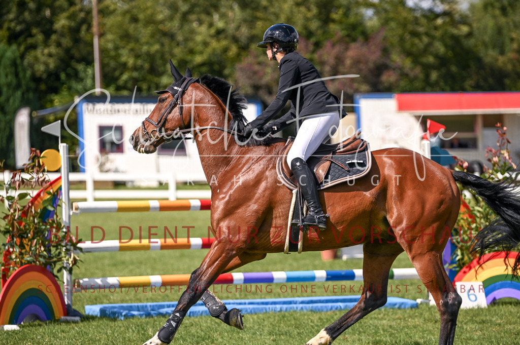 Schugtsche-Düren.2024-08.Amat.Springprf.L-31 | Schugtsche Fotografie - Realisiert mit Pictrs.com