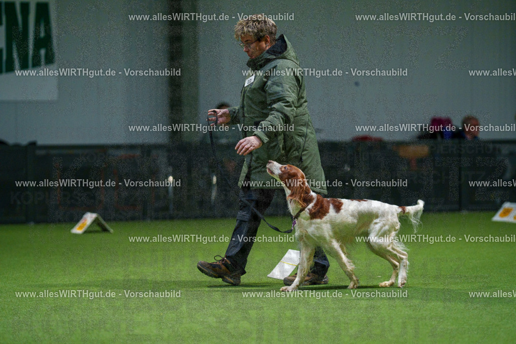 7R504810 | Professionelle Tierfotografie in Mönchengladbach von Daniel Wirth (allesWIRTHgut). Liebevolle & natürliche Bilder von Hunden & Katzen für unvergessliche Erinnerungen.
