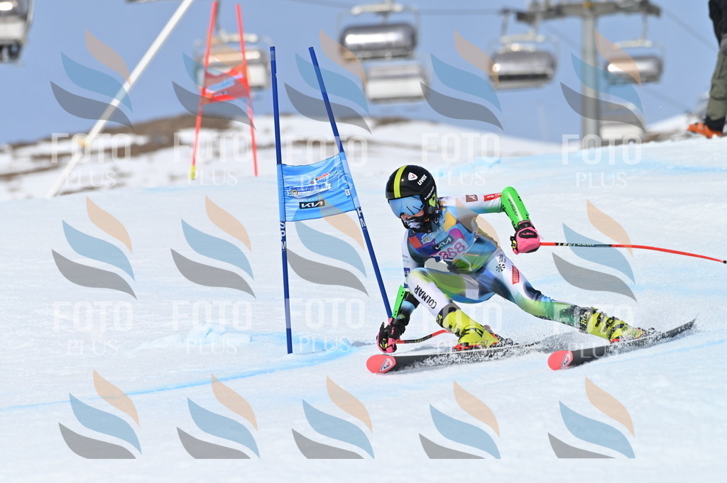 BGV_3999 | holidayphoto