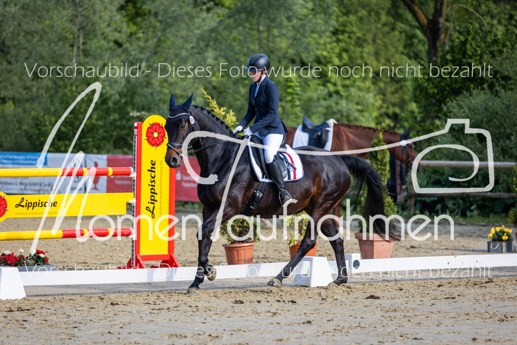 Donop24-A-Dre-064 | MomenTaufnahmen Pferdesportfotos