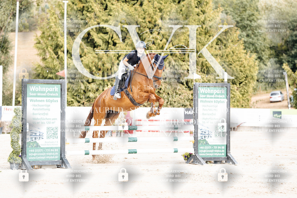CK908987 | Turnierfotografie Pferdefotografie Trier Rheinland-Pfalz Pferdesport Reitsport Tierfotografie Sportfotografie Pferdevideo Pferdevideografie Equestrianvideography equestrianphotography  - Realisiert mit Pictrs.com