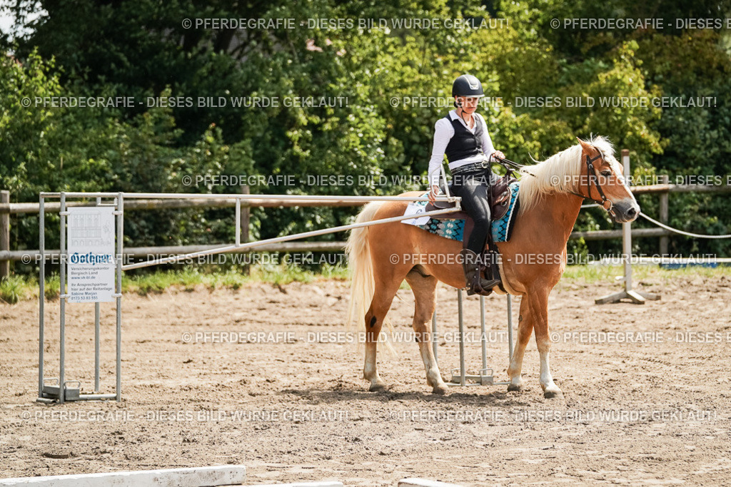 DSC07131 | Pferdegrafie