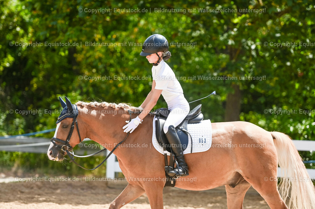 20230715_09_Dressur-WB_0293 | equistock
