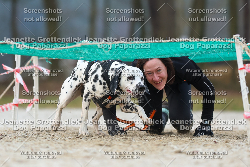 Dog Paparazzi - Strongdog North Mrz26-3657 | Dog Paparazzi Jeanette Grottendiek Fotografie & Videografie - Realisiert mit Pictrs.com
