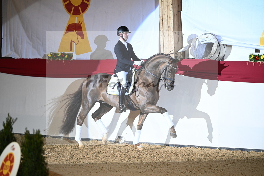 Feliciano_2242126 | hf-fotografie - Realisiert mit Pictrs.com