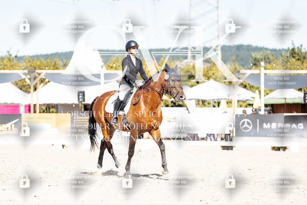CK908716 | Turnierfotografie Pferdefotografie Trier Rheinland-Pfalz Pferdesport Reitsport Tierfotografie Sportfotografie Pferdevideo Pferdevideografie Equestrianvideography equestrianphotography  - Realisiert mit Pictrs.com