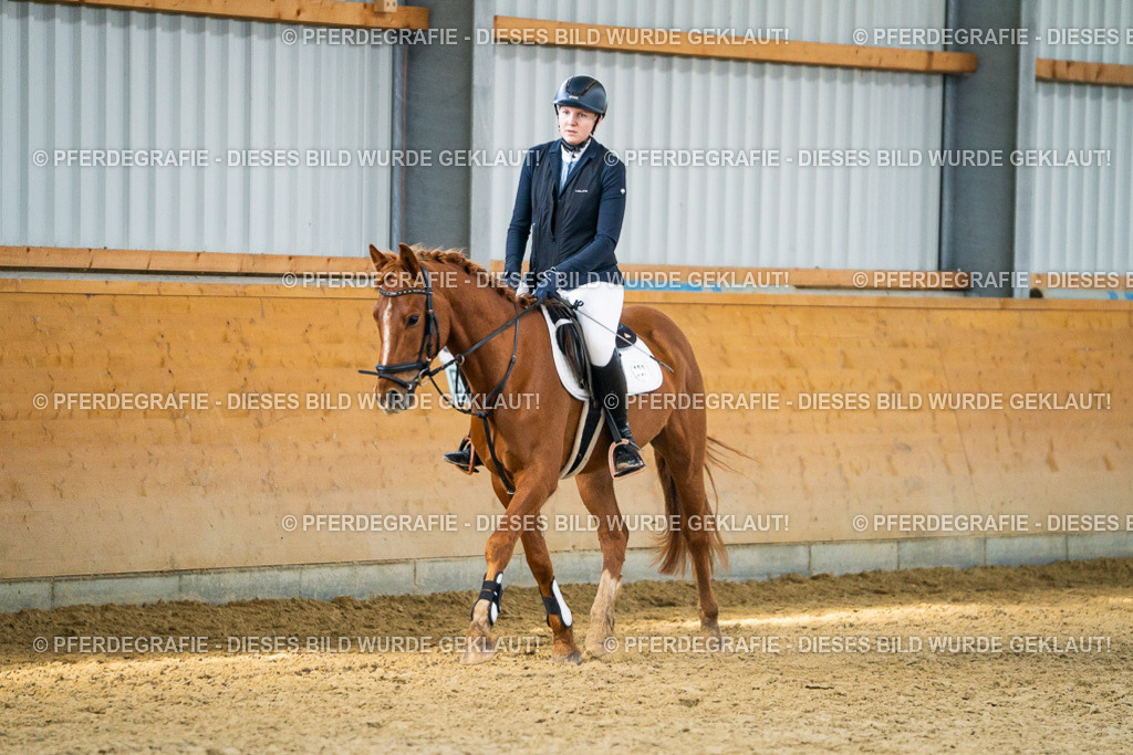 DSC01031 | Pferdegrafie