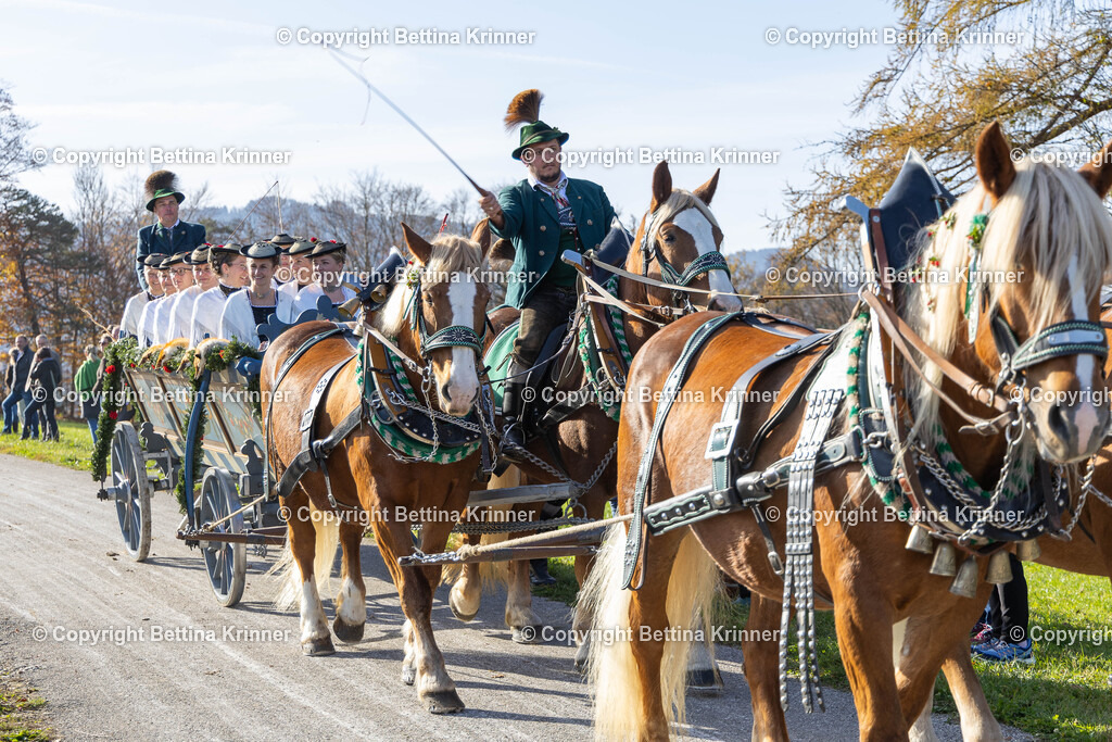 LBT24-1234 | foto-bettina-krinner - Realisiert mit Pictrs.com
