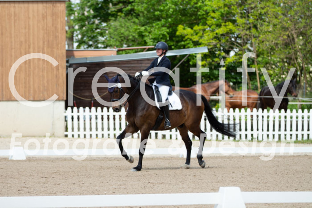 IMG_5643 | Creatify Fotografie