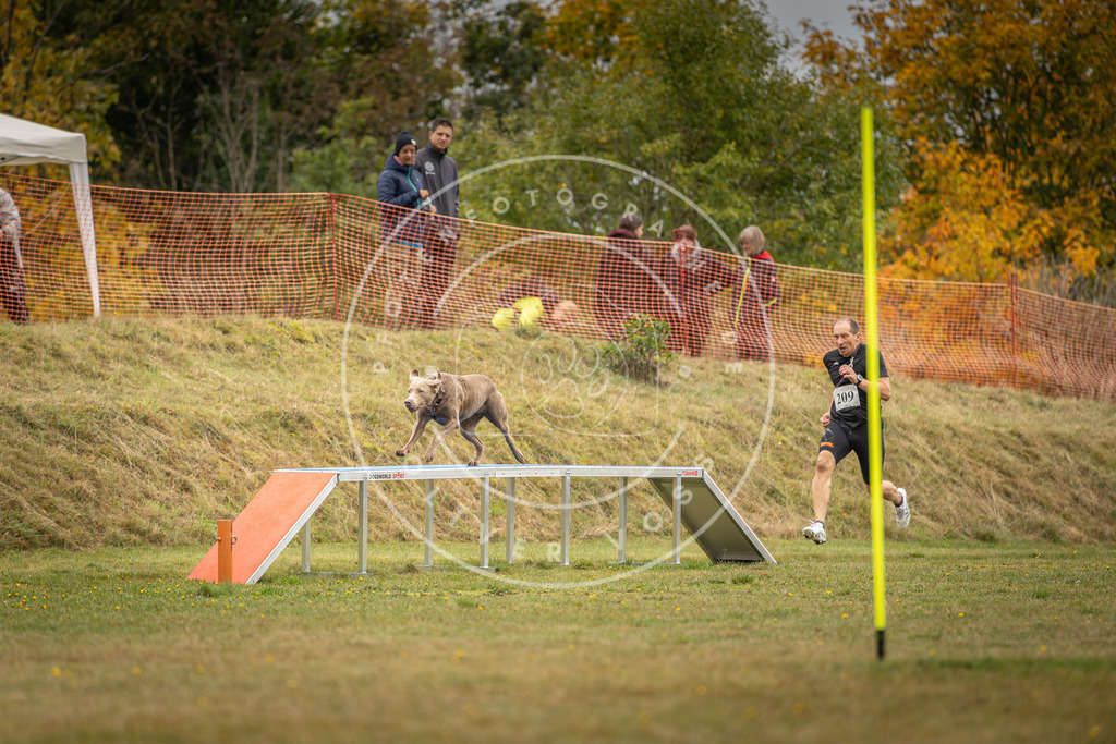 Pfotenfotografie_DV3A2723 | Hundefotografie, Tierfotograf, Pfotenfotografie, Fotoshooting Hund, Hunde Portrait, Hundesport, Hundeportraits, Heideshooting, Hunde, Sportfotograf, Hundefotograf, Turnierhundsport, THS,  - Realisiert mit Pictrs.com